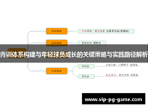 青训体系构建与年轻球员成长的关键策略与实践路径解析 青训体系构建与年轻球员成长的关键策略与实践路径解析