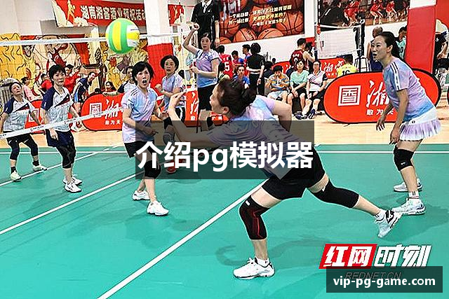 介绍pg模拟器
